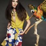 imagebam.com