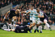 73515156077504.gif