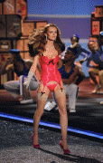 1bc60d57229293.gif