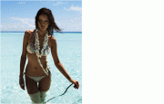 0dd4cf57476043.gif