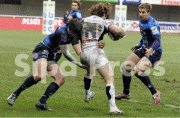 03aee563745246.gif