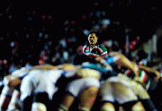 d6792b65901225.gif