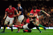 0a725e69805994.gif