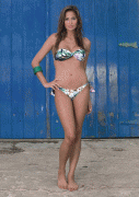 52e68a73431577.gif