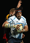 04ff4375690488.gif