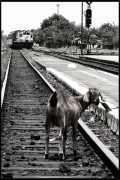 [Image: ec6bb283157463.gif]