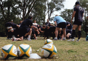 fccff283339995.gif