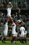 508a6483753168.gif