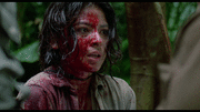 008fd184037009.gif