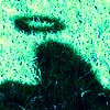 My Freaky Works C10a7e88137941